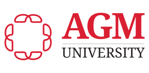 Bookkeeping and Accounting Technology Diploma | AGM University